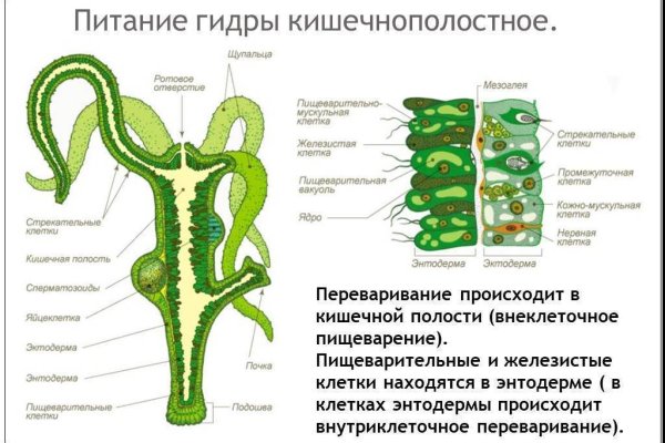 Какой нужен тор чтоб зайти в кракен