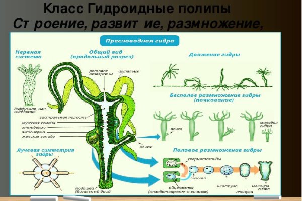 Кракен маркетплейс это